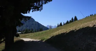 Randonnée Les Houches