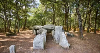 Erdeven - Sentier des Mégalithes - Morbihan - Bretagne Sud