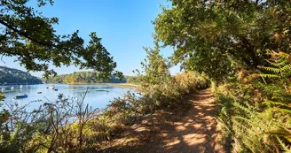 riviere-bono-sentier-cotier-pluneret_792x528