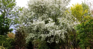 Arboretum Adeline - Crédit M et Mme Adeline (28)