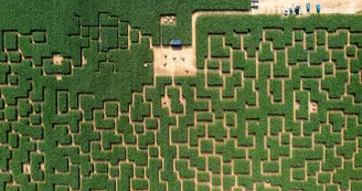 Pop Corn Labyrinthe