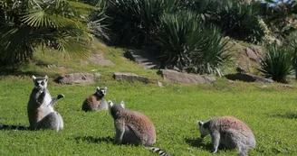 Parc zoologique et paysager©Y.Lebreton