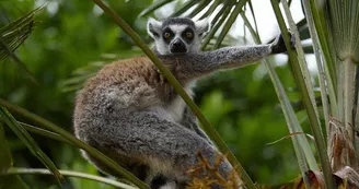 Parc zoologique et paysager©Y.Lebreton