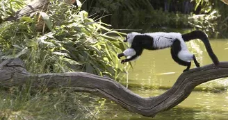 Parc zoologique et paysager©Y.Lebreton