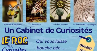 LE ROC DES CURIOSITES