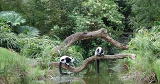 Parc zoologique et paysager©Y.Lebreton