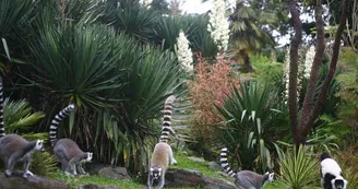 Parc zoologique et paysager©Y.Lebreton