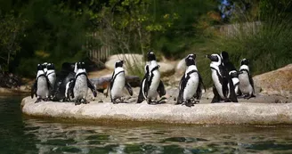 Parc zoologique et paysager©Y.Lebreton