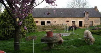 ferme-equestre-mont-cruchet-ruillé-en-champagne-72