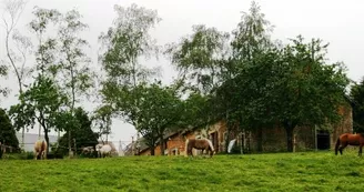 Ferme équestre du Mont Curchet