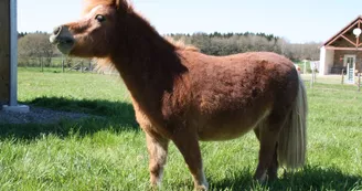 Ferme découverte 