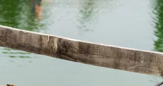 Fédération-de-Pêche - Cannes à pêche