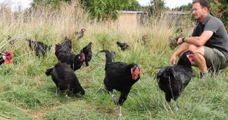 Ferme de la Poule Noire