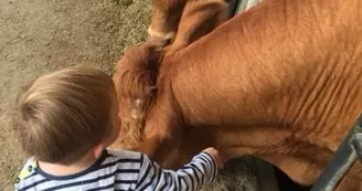 Enfant à la ferme