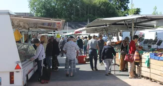 Marche-La-Suze-sur-Sarthe-2