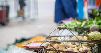 Marché des Jacobins 