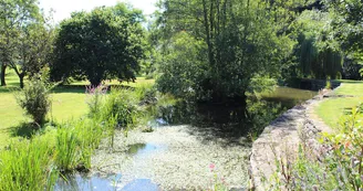 Chambres d'hôtes Le Moulin de l'Inthe - Saint-Léonard-des-Bois - jardin