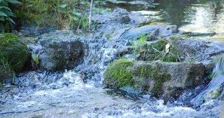 Le cours des Deux Fonds au coeur du camping