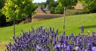 Gîte La tannerie