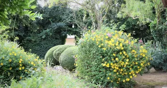 Gîte Orchard View