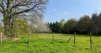 Gîte Le "48 heures au Mans" lieu dit La Haie