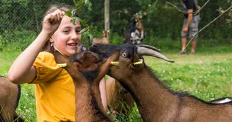 Vallée de la Sarthe - spay - Spaycificzoo