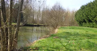 Accès à la Braye à Bessé La Chaumière (3)