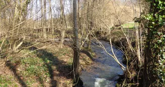 Le Moulin Banal à Vancé Le Tusson (3)