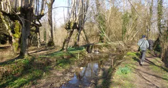 Le Moulin Banal à Vancé le Tusson