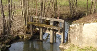 Le Tusson à Cogners au Lavoir (2)