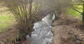 Le Tusson à Cogners au Lavoir