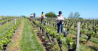 Decouverte-originale-vignobles-vignes-loire-le-mans-segway