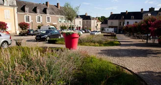 Malicorne-sur-Sarthe-Centre-ville