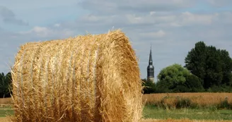 Vue sur l'Église de Congé-sur-Orne