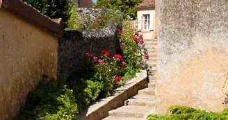 Fontenay-sur-Vegre-Vallee-de-la-sarthe