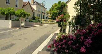 Rue à Saint Pierre des Ormes