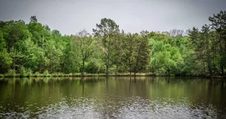 Etang du Jouteau 