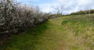 Coteau de Vilclair sentier