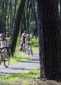 biscarrosse-pistes-cyclables-foret