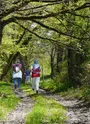 Bellenaves, Le vallon Saint-Jean