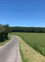 Petite balade dans les bois de Gouise