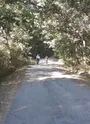 Promenade dans la forêt de Moladier