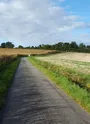 Promenade des chevaux du Haras de Ray