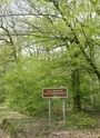 Promenade dans la forêt de Bagnolet