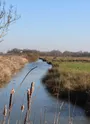 Marais St Laurent de la Prée