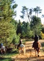 Cavaliers sur la Route des Cardinaux sur des chemins de la Double Saintongeaise