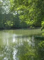 La Dronne, rivière séparant la Haute-Saintonge du Nord du Périgord