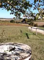 Vue sur la campagne haute-saintongeaise du moulin à vent de Chilleau