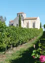 L'église de St-Eugène perchée sur son coteau viticole