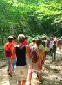 Randonneurs dans la forêt de La Lande aux alentours de Plassac